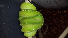20131216_001342.jpg