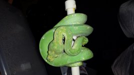 20140208_202255.jpg