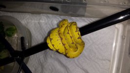 20131228_192702.jpg