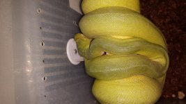 20140104_015939.jpg