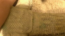 WP_20140426_018.jpg