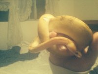 IMG_1153.jpg