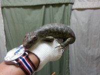20140524_174649.jpg