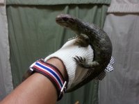20140524_174624.jpg