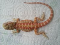 20140620_174833.jpg