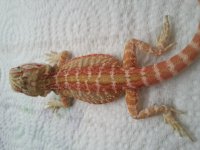 20140620_174842.jpg