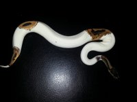20140430_135850.jpg