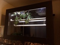 photo 2 (3).JPG