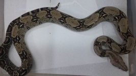 20140311_173537.jpg