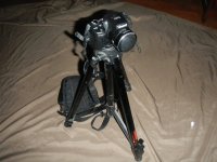 DSCN1932.jpg