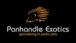 specializing_in_exotic_pets01.jpg
