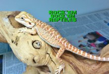 IMG_3292.jpg