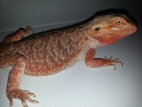 20140118_165734.jpg