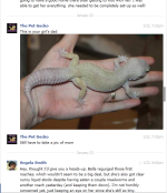 2014-02-07 12_39_56-(1) Messages.png