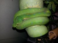 20140228_183955.jpg