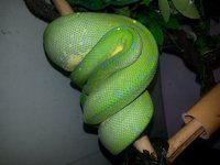 20140228_183938.jpg