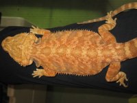 IMG_5082.JPG