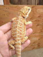 IMG_1385 SD.jpg