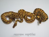 0042013triplemales.jpg