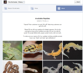 2014-02-07 14_20_09-Available Reptiles.png