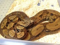 corys iphone 322.jpg