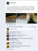 2014-02-19 07_52_27-The Pet Gecko.png