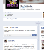 2014-02-19 14_17_37-The Pet Gecko.png