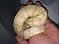 image.jpg