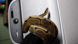 20140609_202747.jpg