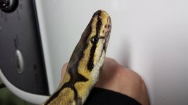 20140609_202757.jpg