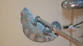 20140619_140015.jpg