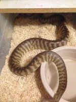 IMG_6650.jpg