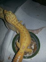 20140403_184230_resized.jpeg
