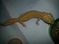 20140403_184032_resized.jpeg