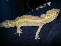 20140310_182714_resized.jpeg