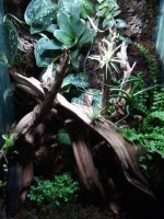 vivarium.jpg