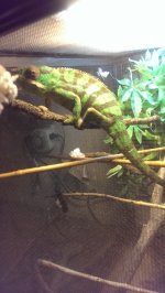 IMAG0513_BURST001.jpg