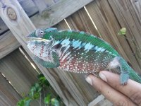 20140522_170822.jpg
