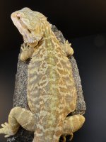 DSC04501.jpg