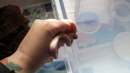 20140406_165734.jpg