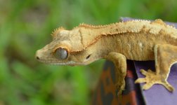 DSC_1028.jpg