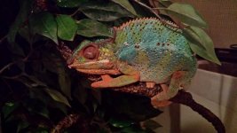 20140325_215445.jpg