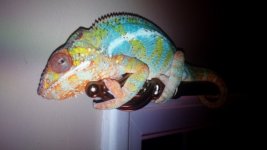 20131218_171049.jpg