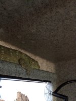 IMG_9998.jpg