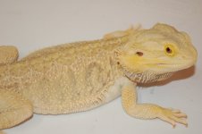 DSC_1733.jpg