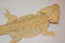 DSC_1736.jpg