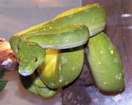 gtp15.jpg