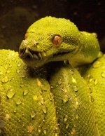 gtp10.jpg