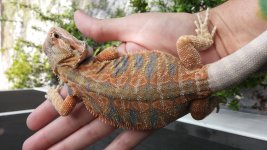 zzz1.jpg
