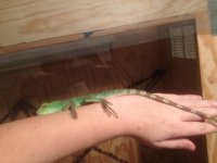 IMG_0233.jpg